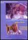 Courage of Women - Haitian Book Centre - Haitian Books in Creole, English and French, francophone litterature